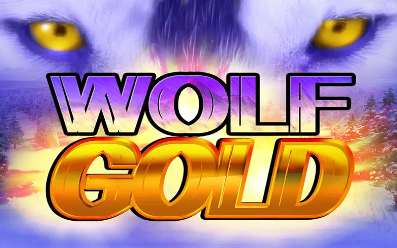 광활한 대자연을 배경으로 거대한 머니 리스핀 기회를 제공하는 Melbet 메인 인기 게임 Wolf Gold를 즐겨보세요.